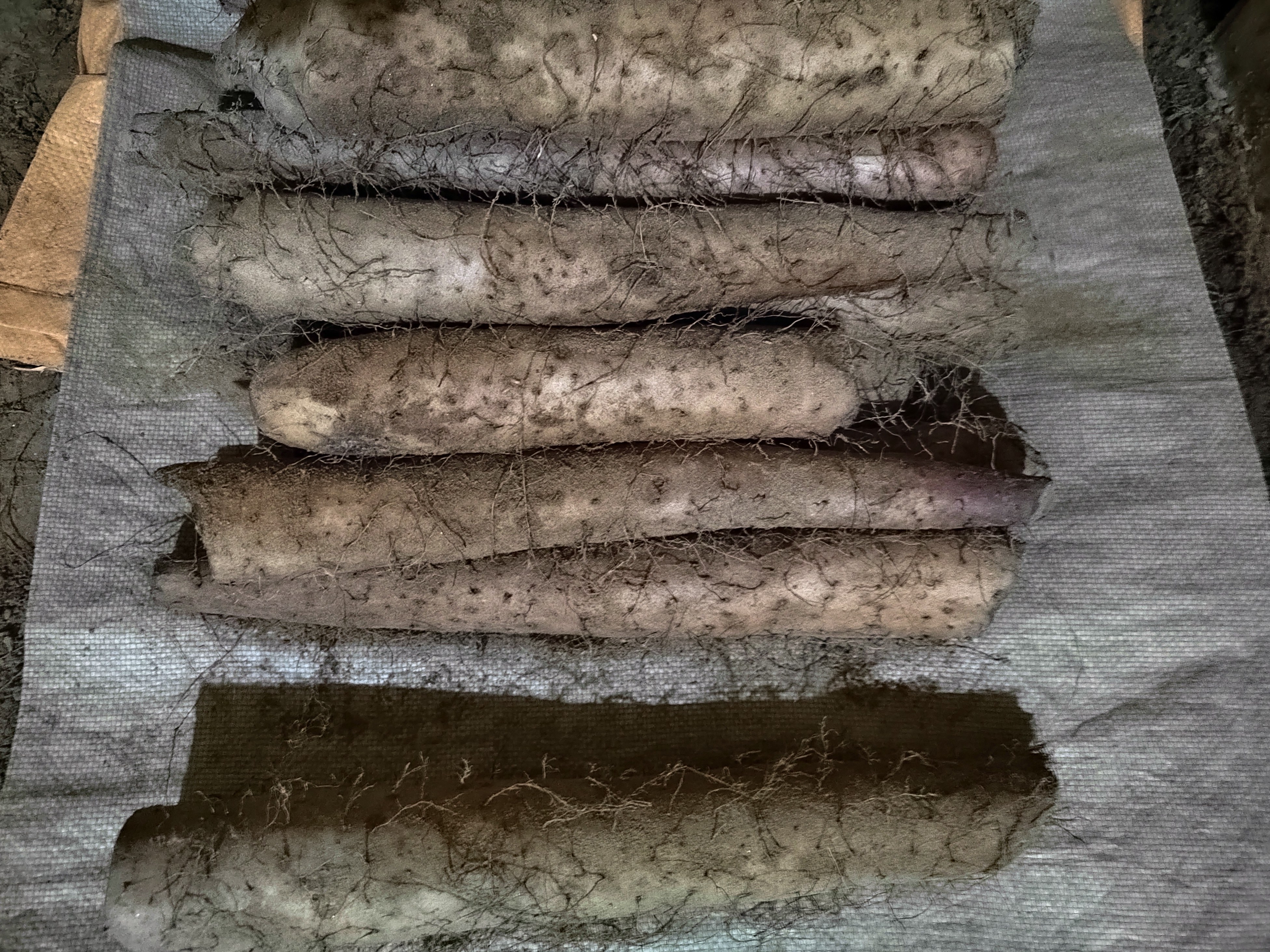 拔丝山药青红丝刀克正在裹糖的过程