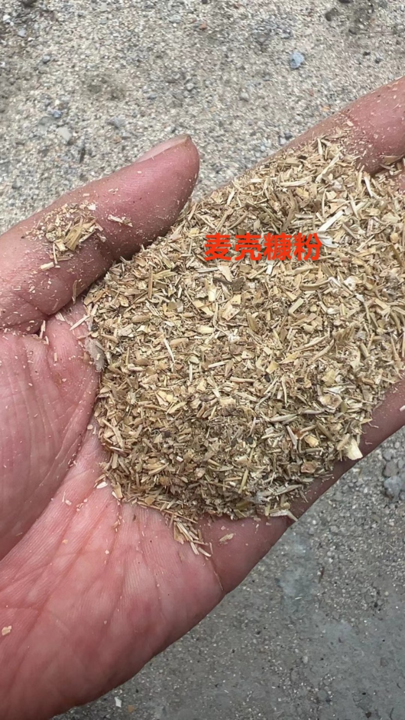 2024新花生秧无土无膜无霉欢迎来一亩田联系