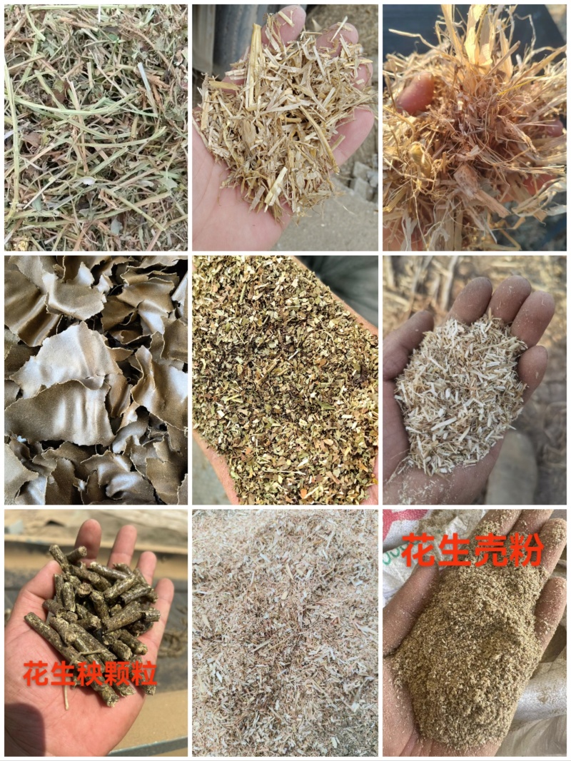2024新花生秧无土无膜无霉欢迎来一亩田联系