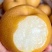 自家种秋月梨50亩个头大糖度高