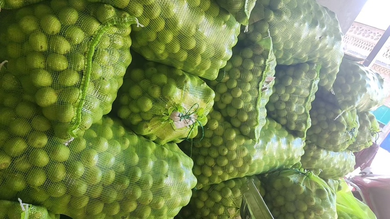 青皮核桃产地分布图