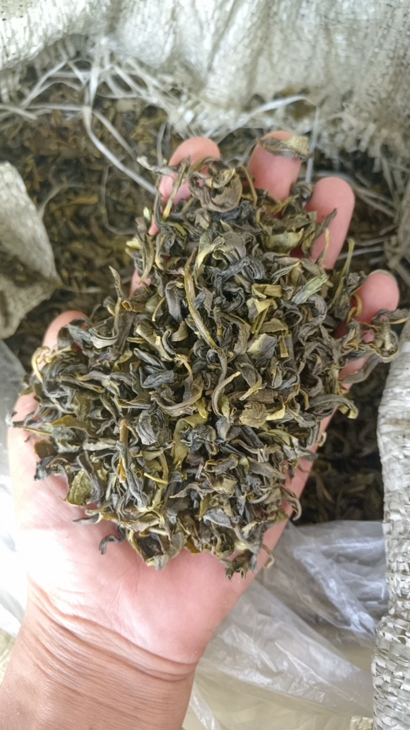 2024新茶绿茶茶叶低档云雾绿茶叶电商饭店宾馆商用原料茶