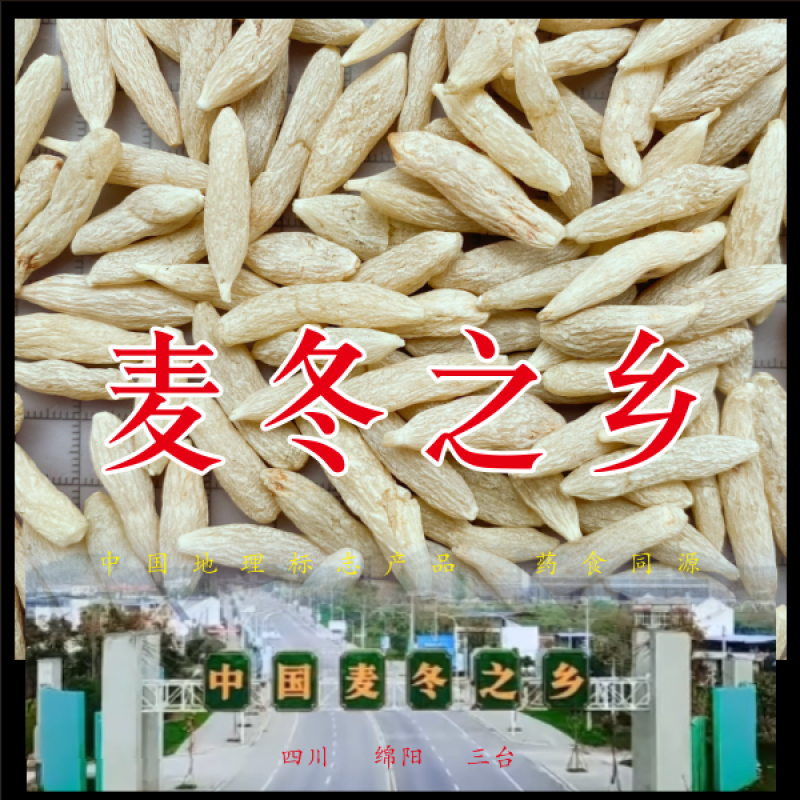 绵阳麦冬川麦冬