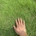 自产直销接园林工程1766636+1332