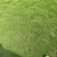自产直销接园林工程1766636+1332