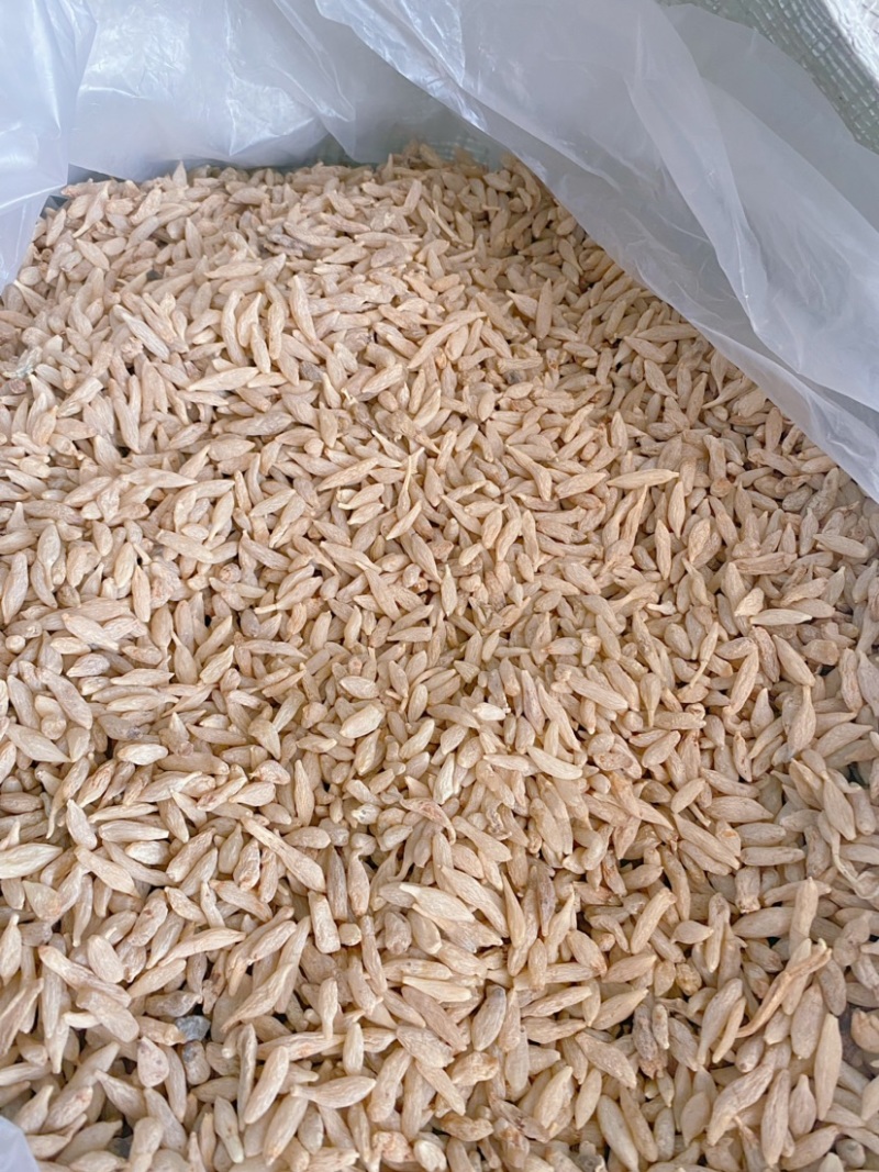 麦冬根米