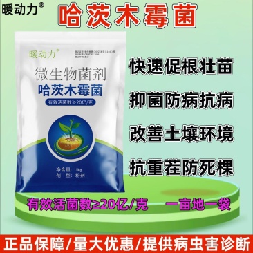 暖动力20亿哈茨木霉菌2斤生根壮苗抗重茬防根腐微生物菌肥