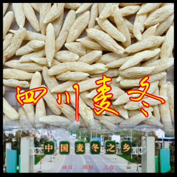 麦冬根米