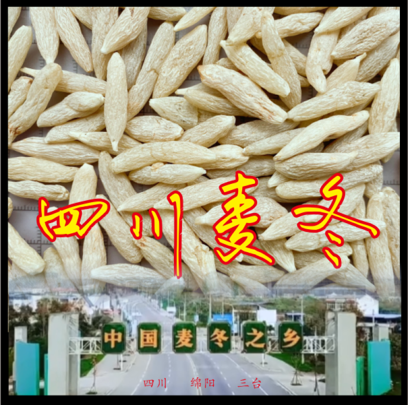 麦冬根米