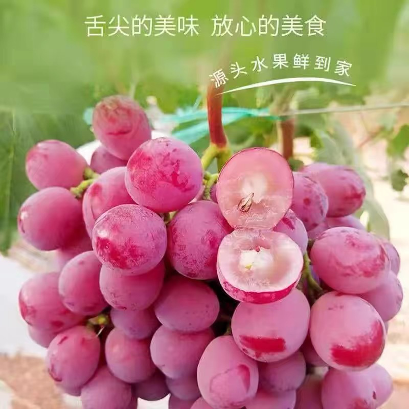 自家红提产地直发一手货源对接档口商超可代办