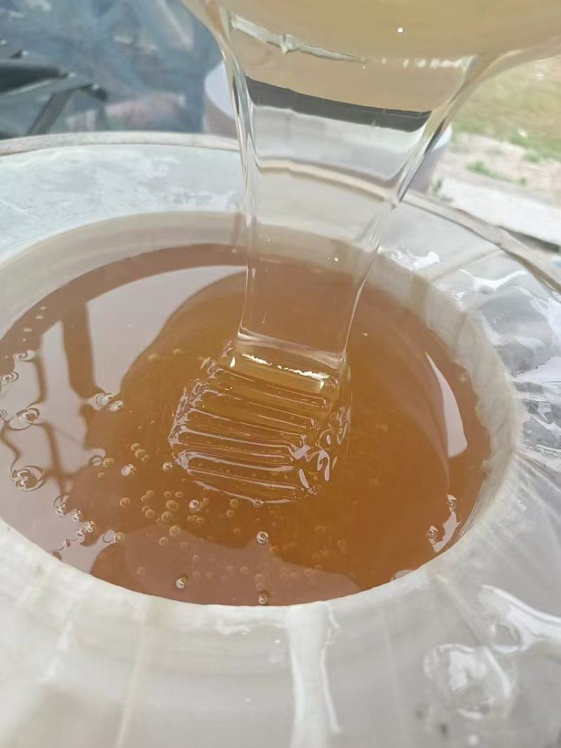 吉林精品椴树蜜品质保证价格优惠支持视频看货欢迎来电