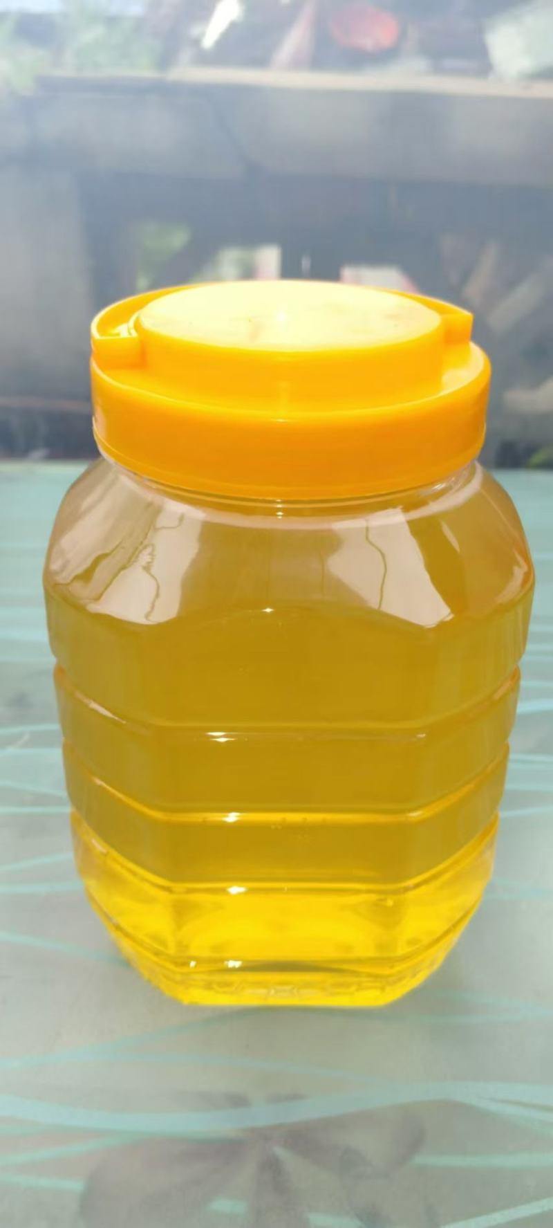 吉林精品椴树蜜品质保证价格优惠支持视频看货欢迎来电