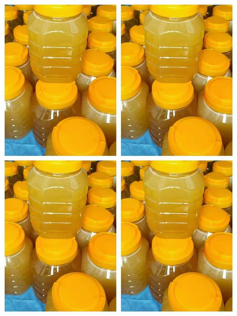 椴树蜜大量供应各种规格都有欢迎下单品尝支持电话洽谈
