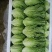 意大利生菜
