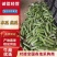 广西南宁市丝瓜水瓜量大从优全国发货一条龙服务
