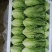 意大利生菜