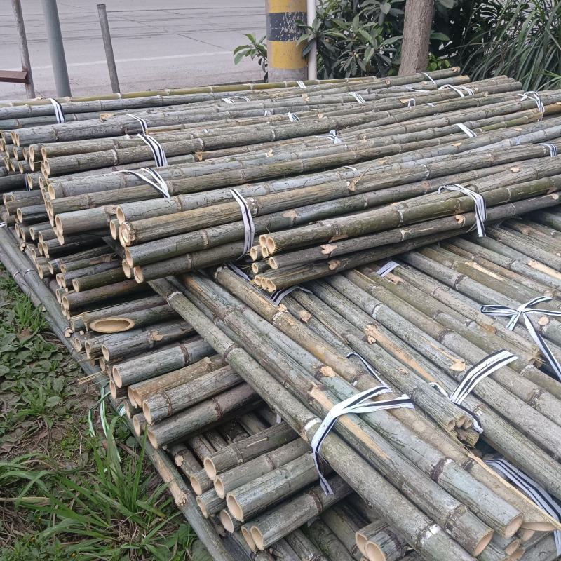 毛竹尾巴竹竿楠竹对接全国发货货量充足全年发货