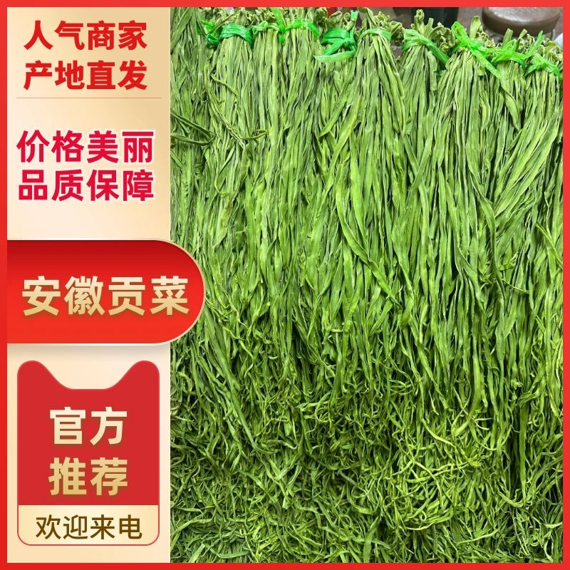 精品贡菜贡菜干产地直发大量现货，视频看货，价格包您满意
