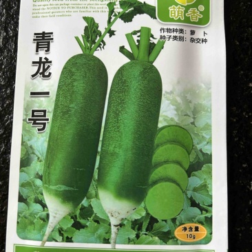 水果萝卜种子