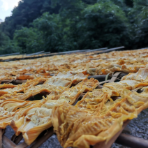 自产香脆竹笋干品质保证诚信经营欢迎联系接商超市场电商