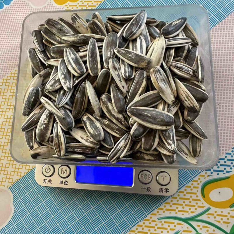 价格超低363瓜子（扒仁货）