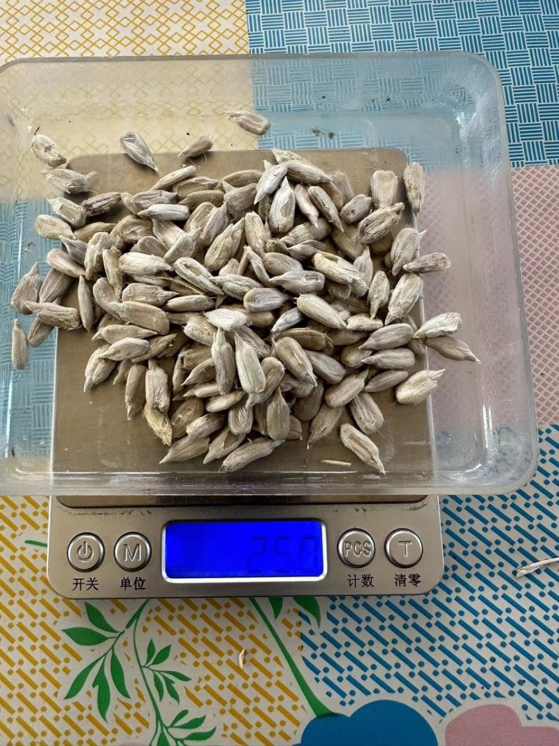 价格超低363瓜子（扒仁货）