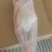 全鸭又名雁鹅规格齐全电商商超**常年有货