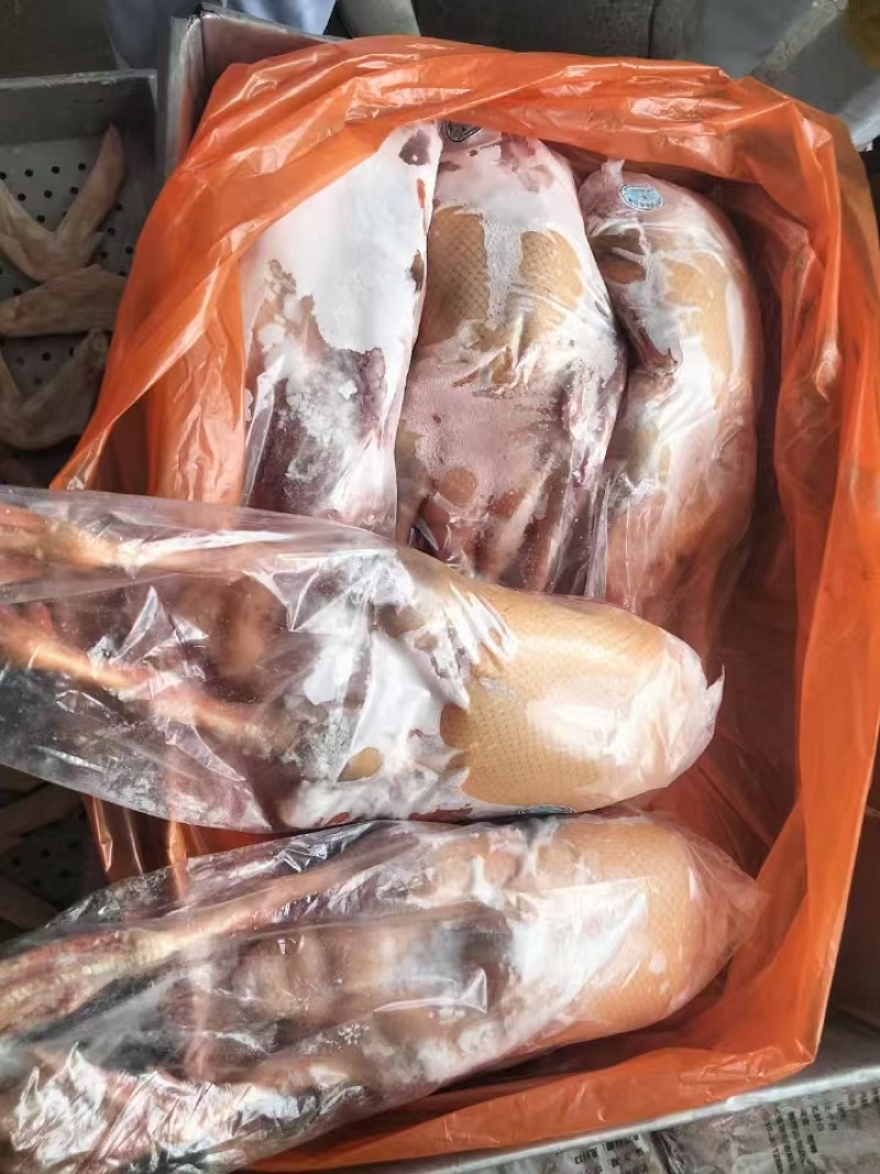 黄皮全鸭大厂发货品质保证价格优势大