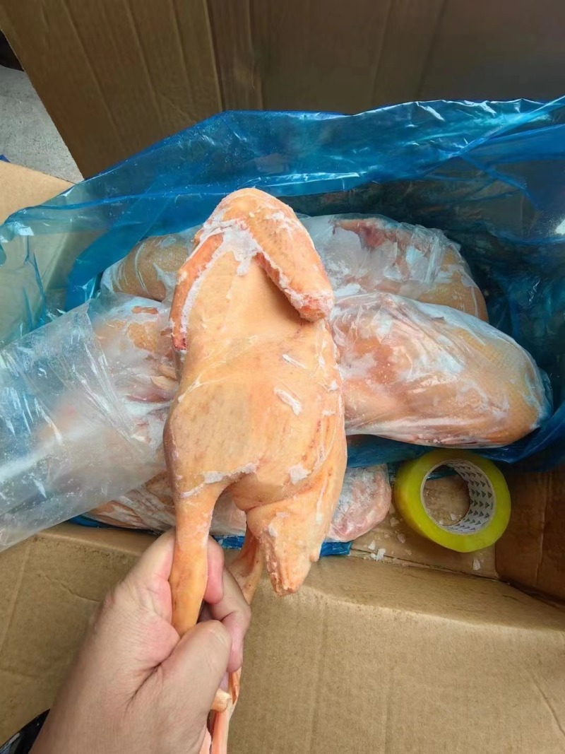 黄皮全鸭大厂发货品质保证价格优势大