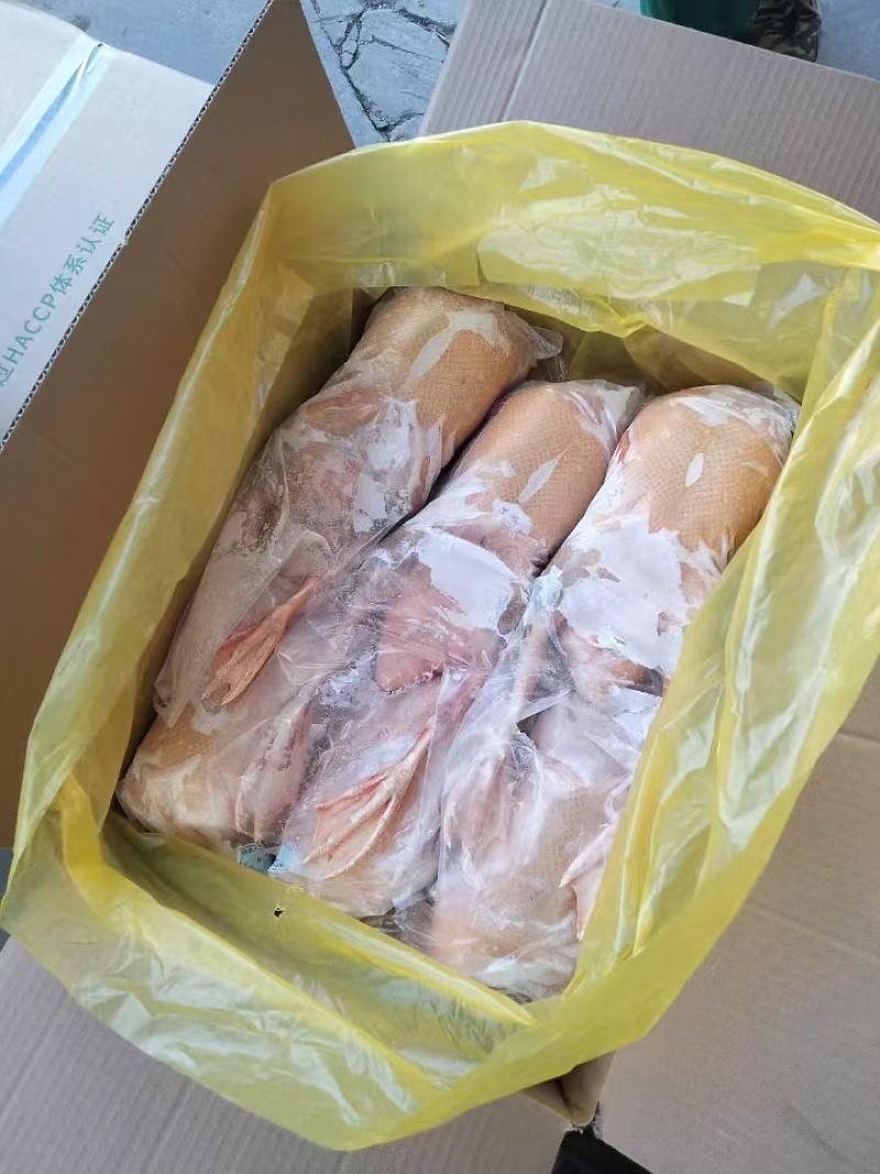 黄皮全鸭大厂发货品质保证价格优势大