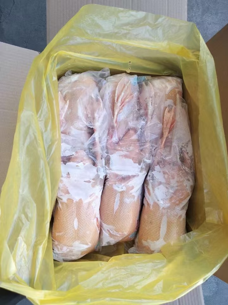 黄皮全鸭大厂发货品质保证价格优势大
