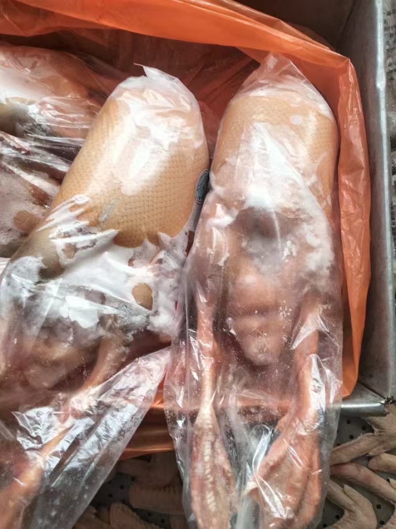 黄皮全鸭大厂发货品质保证价格优势大