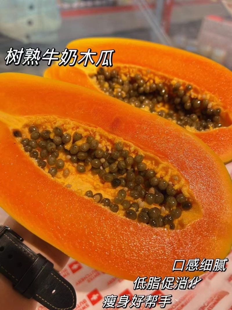 牛奶红心木瓜，冰糖木瓜，大青木瓜大量有货