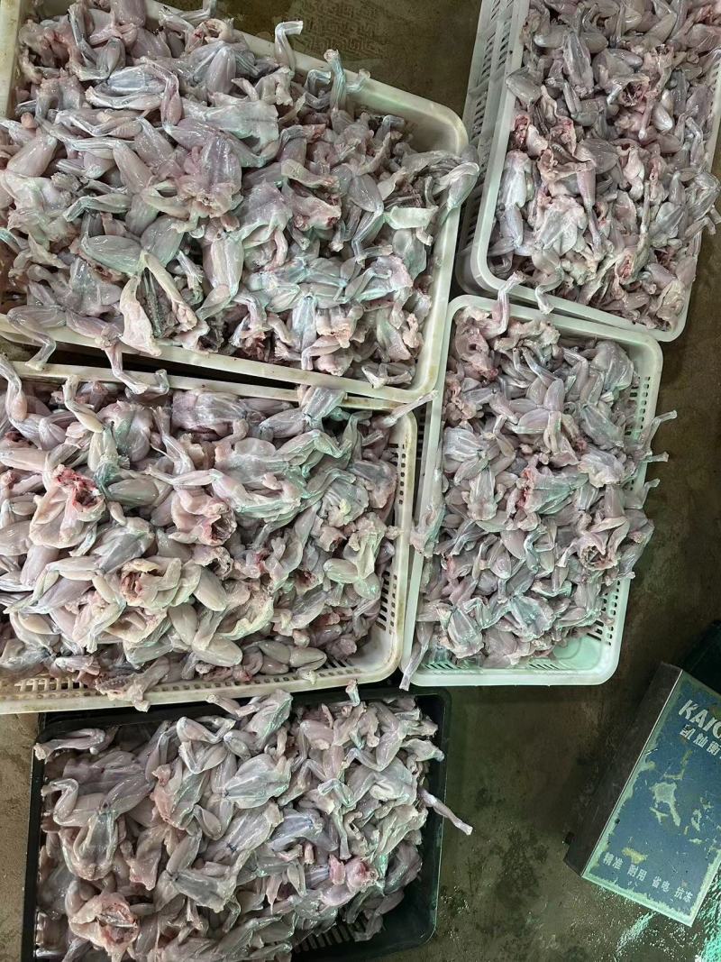 《牛商推荐》源头牛蛙肉批发质量保证可视频