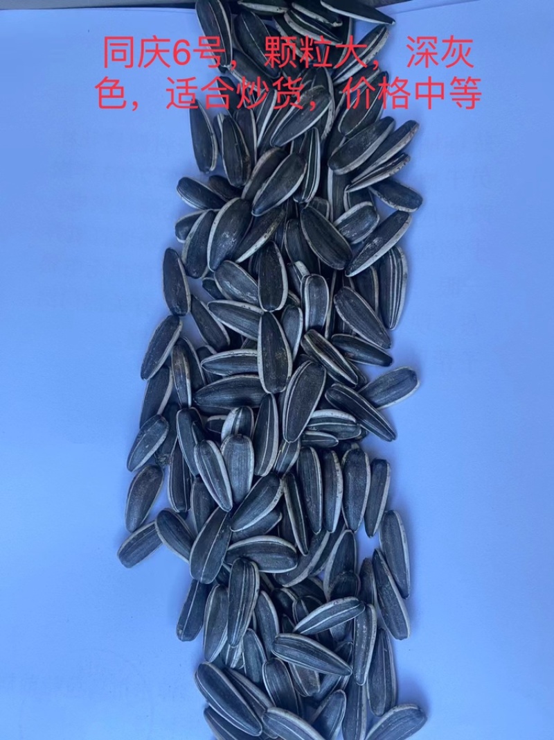 内蒙古巴彦淖尔葵花籽