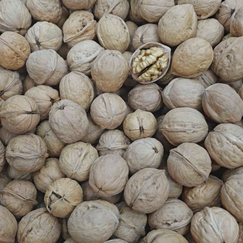185核桃纯大果