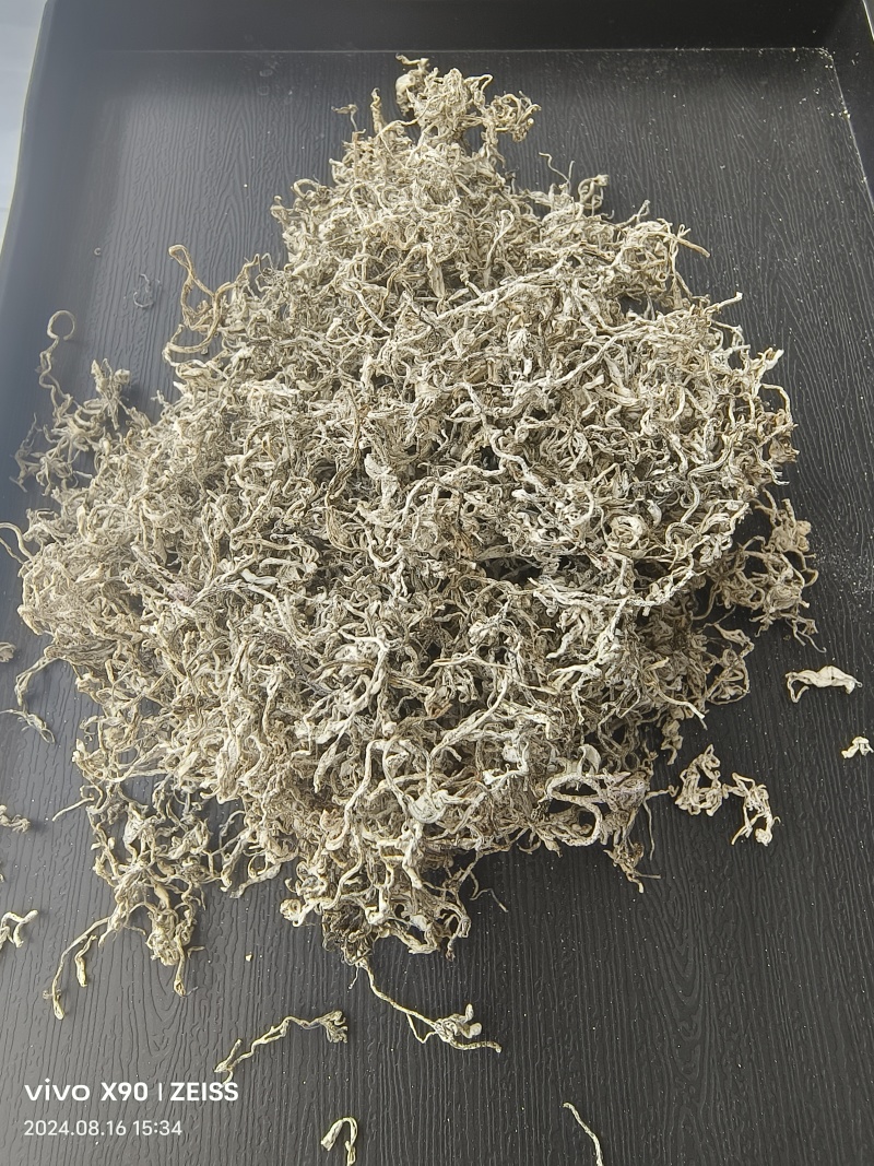 藤茶