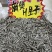 金河8号生瓜子