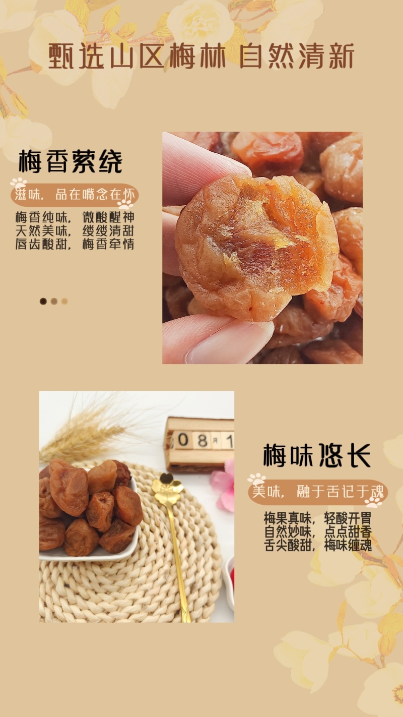 【优选】潮汕酸甜梅软糯酸甜回味甘甜源头货源量大可详谈