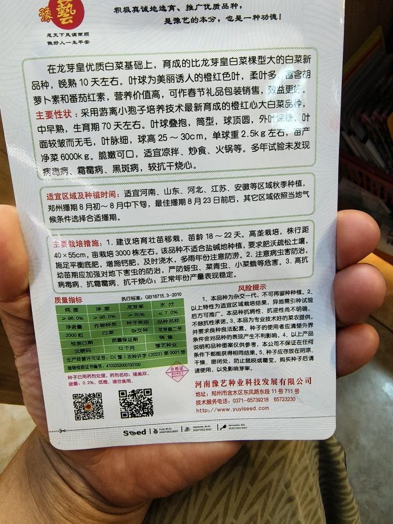 龙芽皇二号白菜种子橙红色叶柔叶多富胡萝卜素和番茄红素70