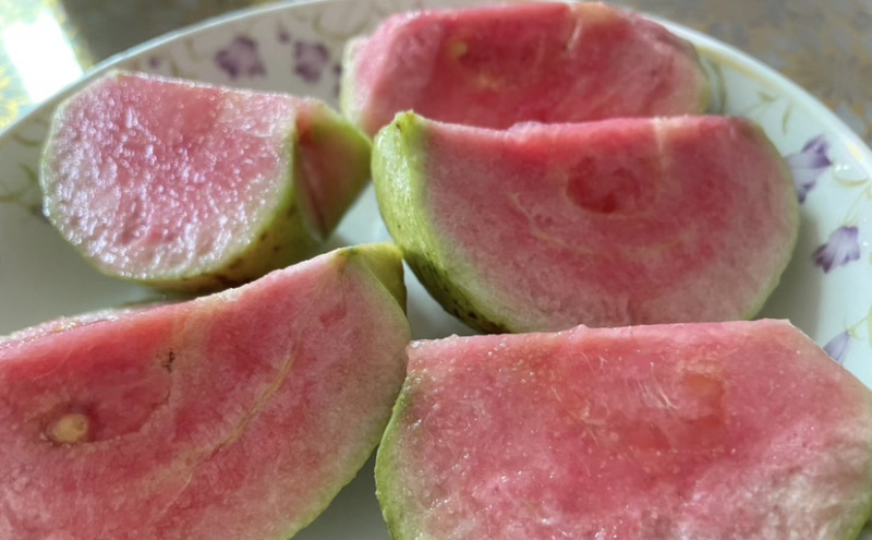 精选广东大量红心白心芭乐番石榴产地直发全国发货