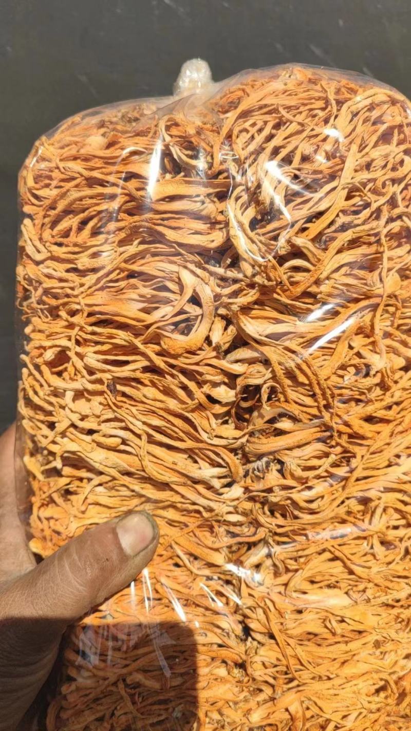 【包邮】精选辽宁虫草花干自产自销没有中间差价全国发货