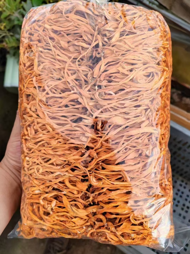 【包邮】精选辽宁虫草花干自产自销没有中间差价全国发货