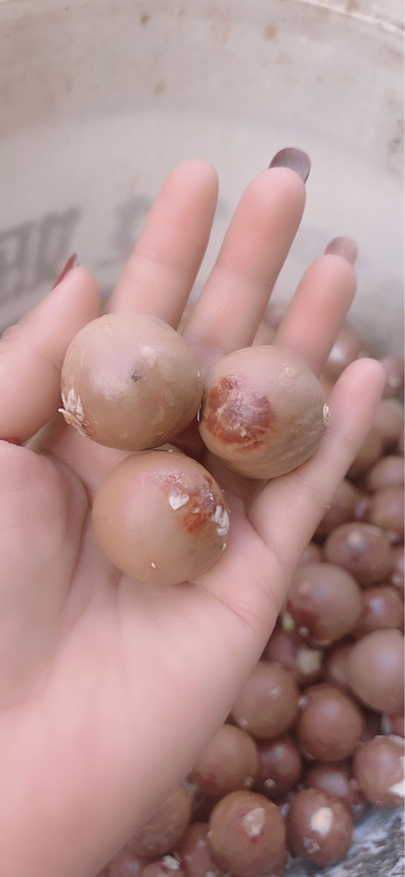 坚果大量上市！