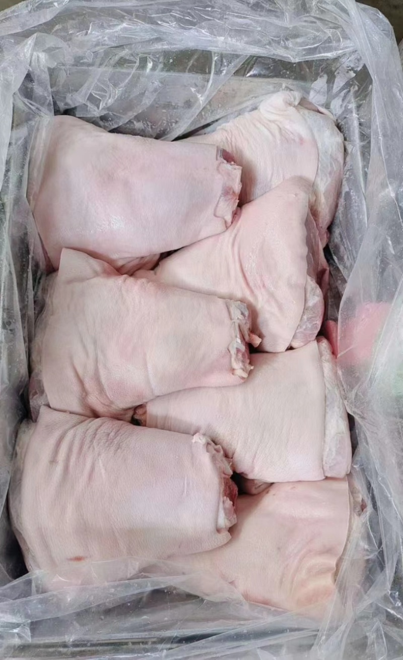 精品国产猪前肘后肘厂家一手货源品质保证欢迎来电