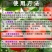 诺基尔颗粒硼硼肥促花保果果树蔬菜大田通用