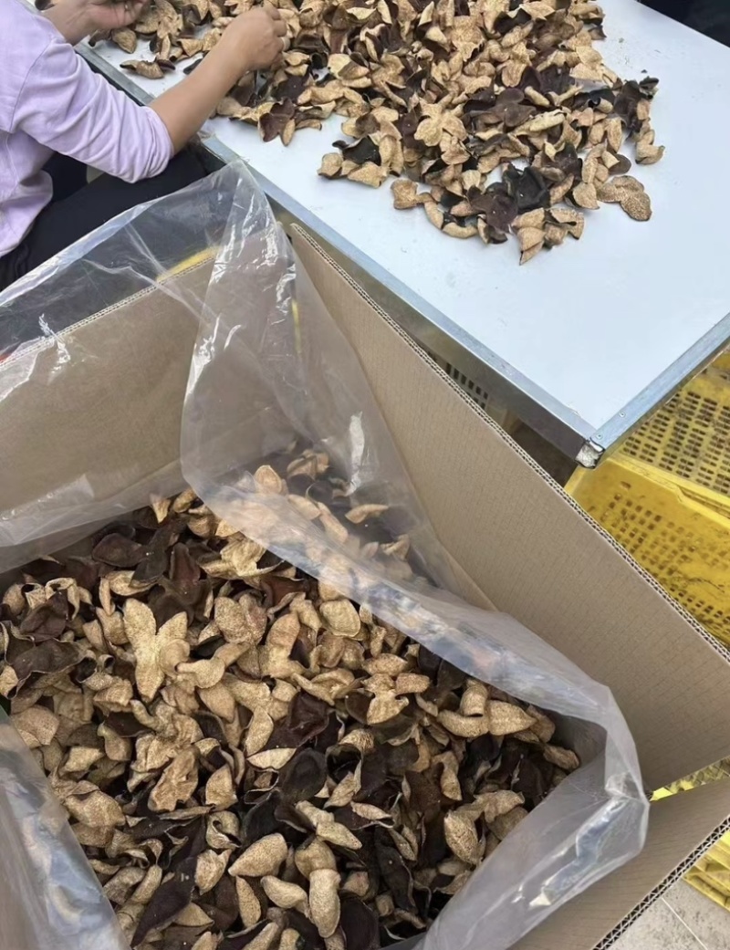 陈皮四花青皮新会陈皮陈皮丝电商助农原产地直发价格实在