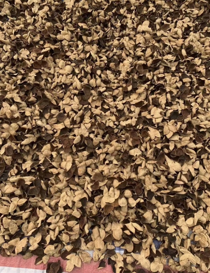 陈皮四花青皮新会陈皮陈皮丝电商助农原产地直发价格实在