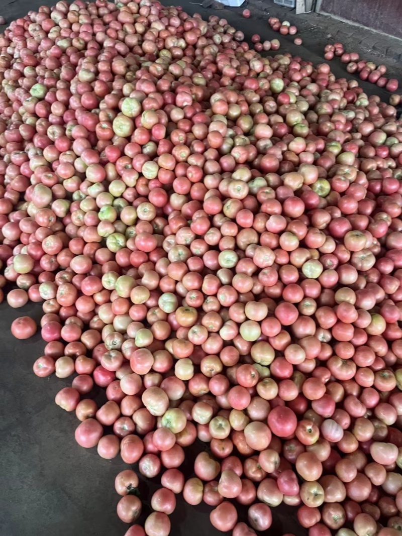 硬粉大量有货要联系电商发巿场
