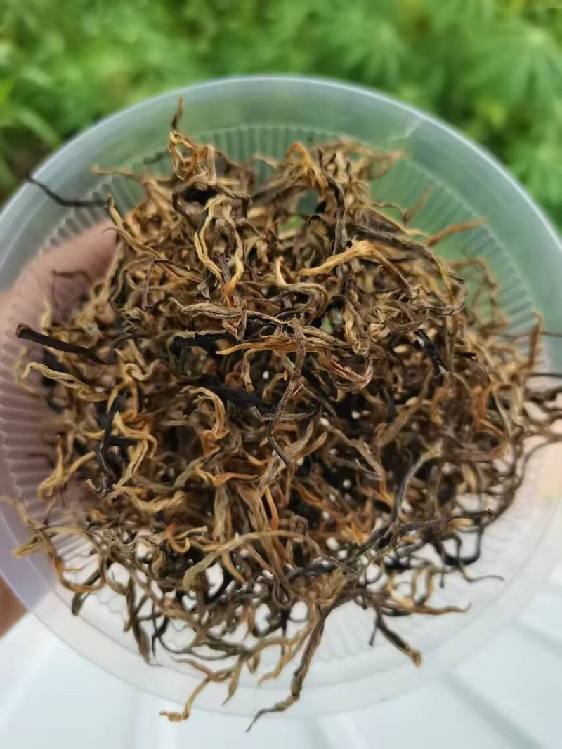 红茶、滇红、普洱、香甜、活动特价